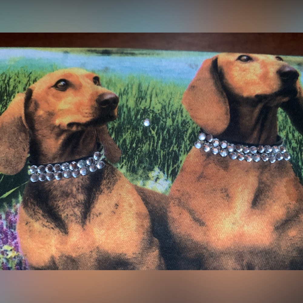Dachshund Y2K wallet with Rhinestone on Collars - Picture 2 of 7